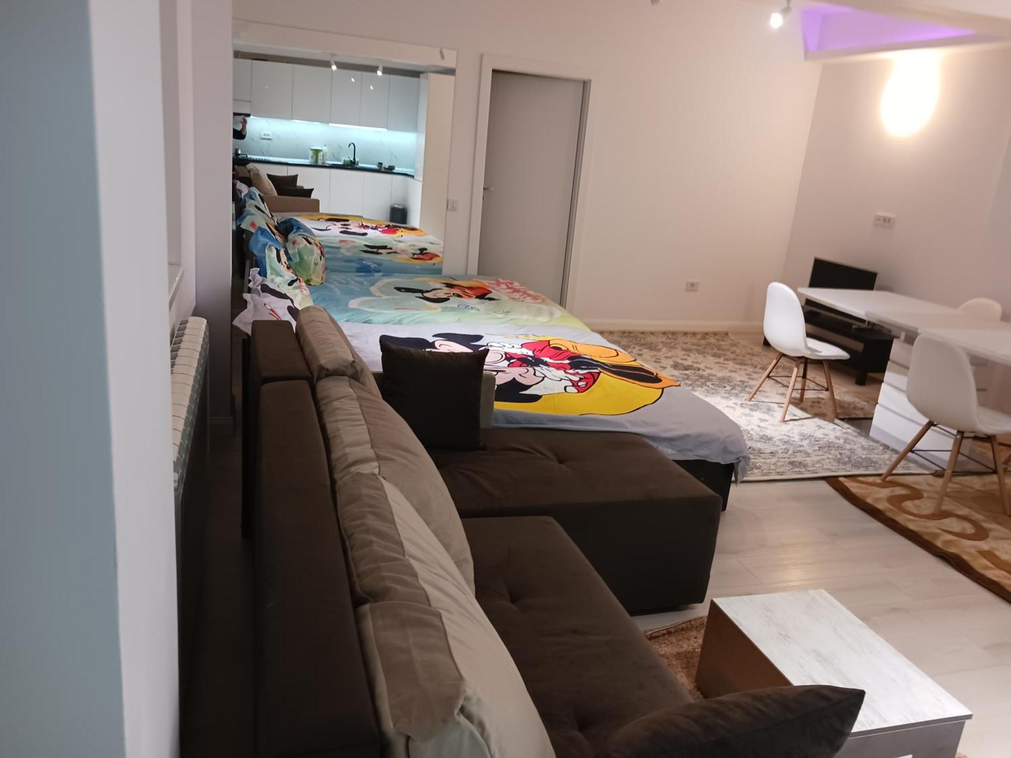 Myky Mouse Nu Primesc Santieristi Si Petrecareti Daire Bükreş Dış mekan fotoğraf