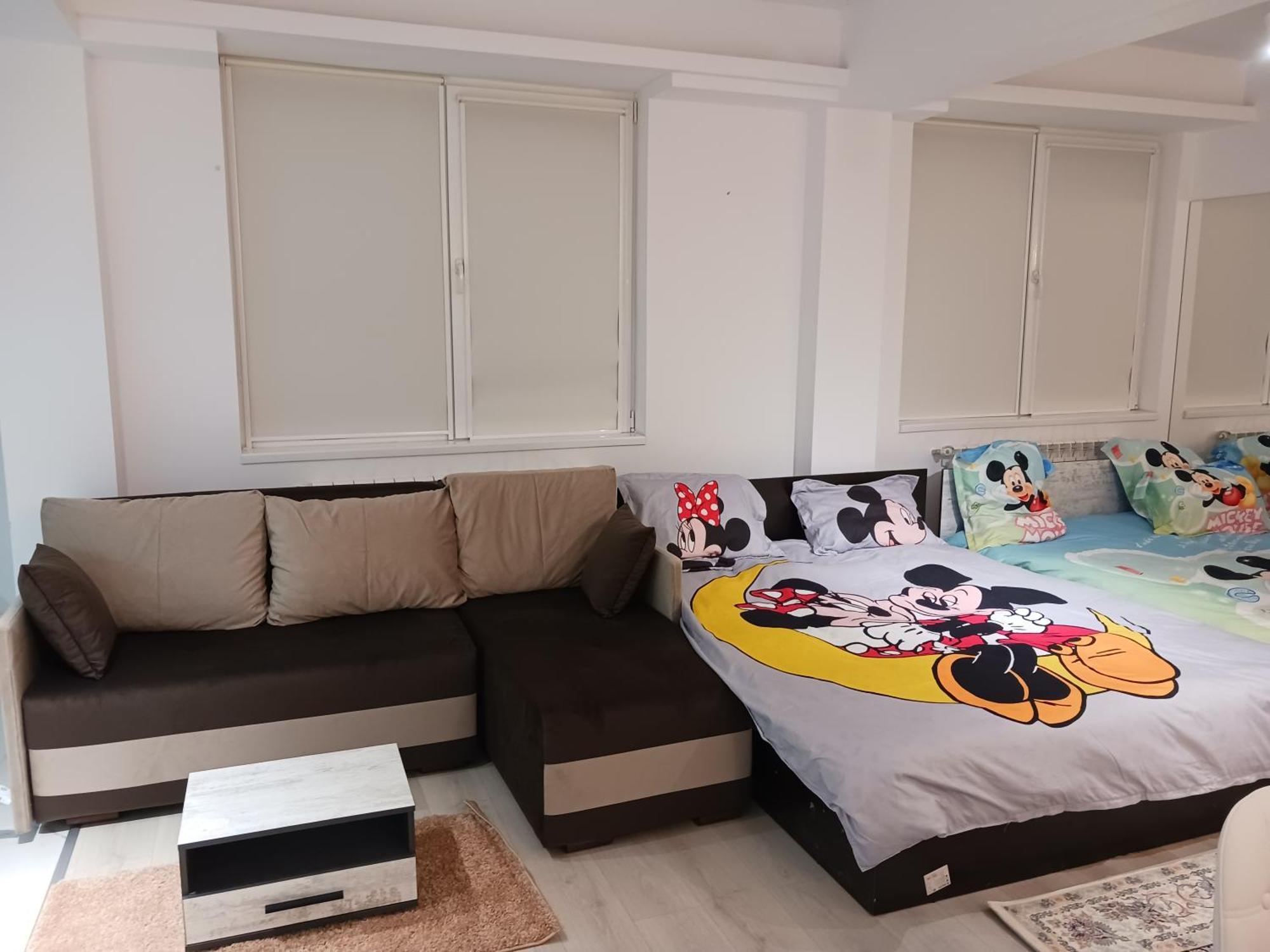 Myky Mouse Nu Primesc Santieristi Si Petrecareti Daire Bükreş Dış mekan fotoğraf