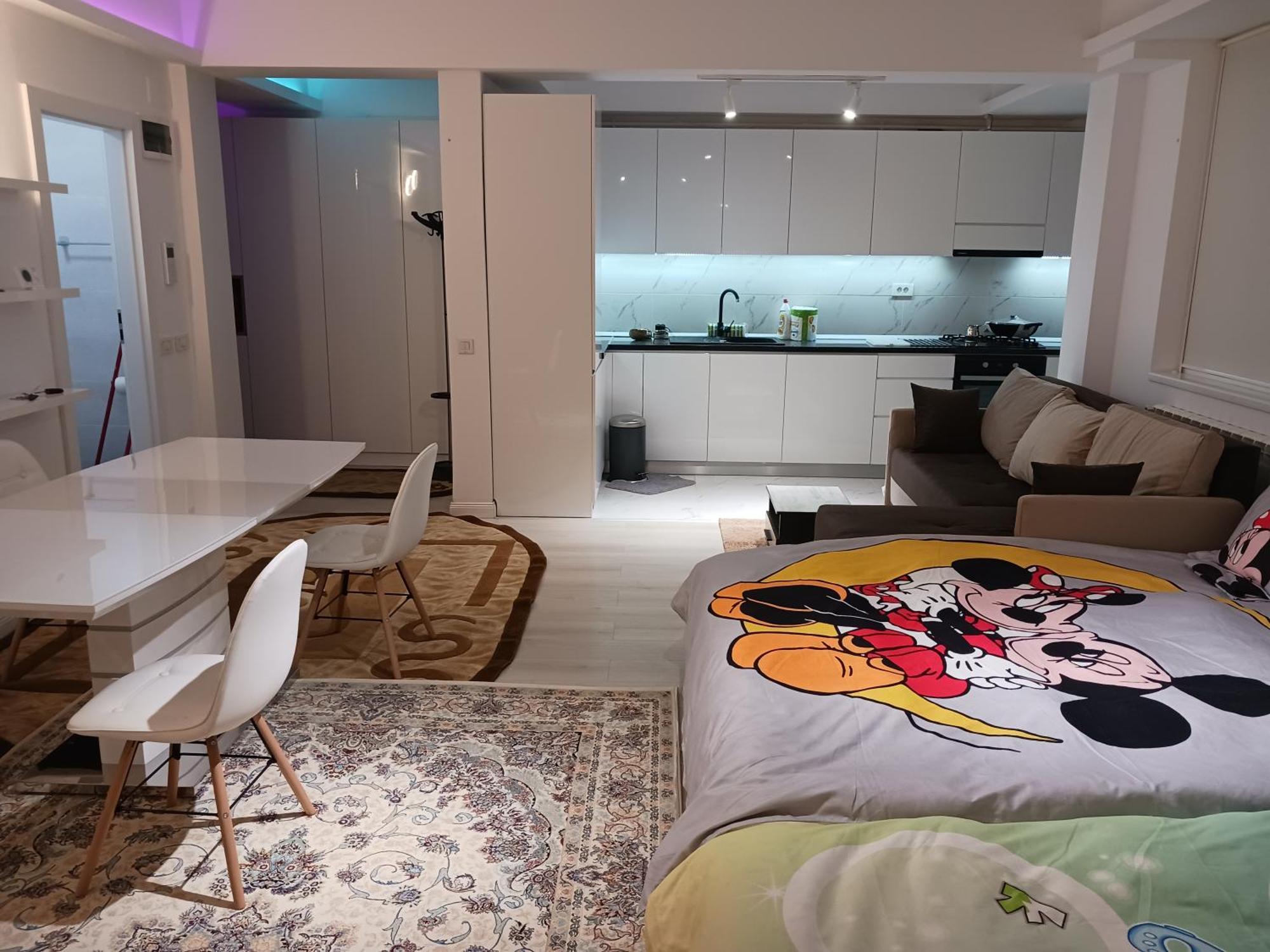 Myky Mouse Nu Primesc Santieristi Si Petrecareti Daire Bükreş Dış mekan fotoğraf