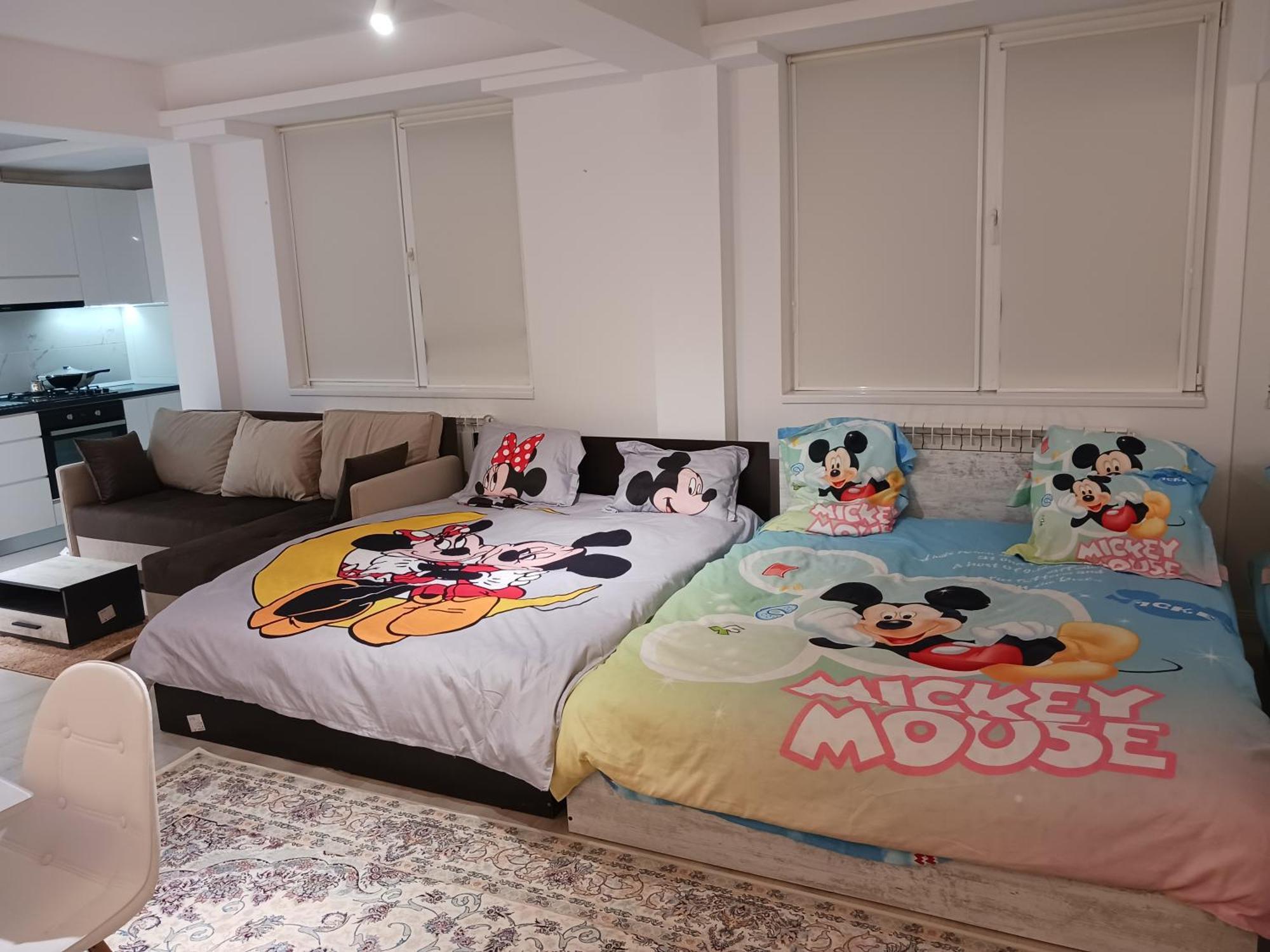 Myky Mouse Nu Primesc Santieristi Si Petrecareti Daire Bükreş Dış mekan fotoğraf